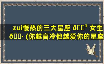 zui
慢热的三大星座 🌳 女生 🌷 (你越高冷他越爱你的星座男)